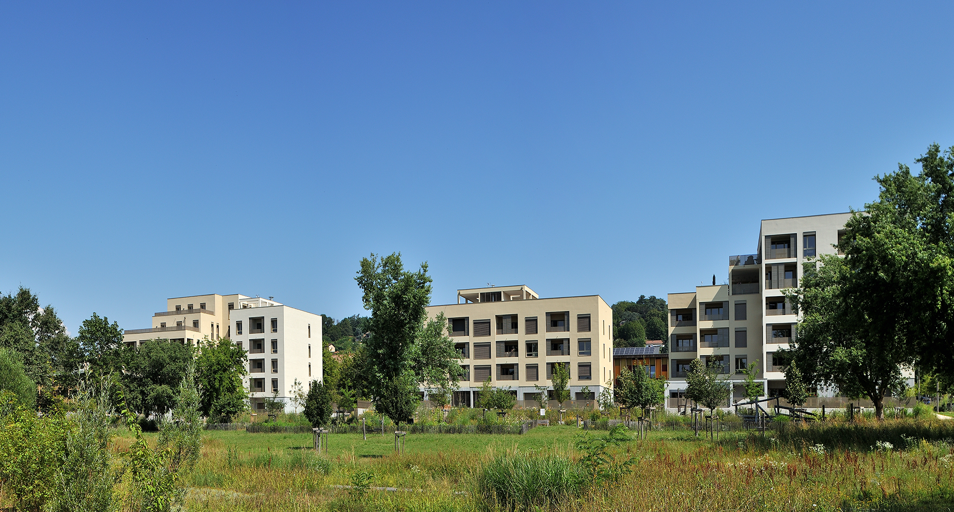 vue d'ensemble depuis jardin projet orfèvres exno architecture lyon