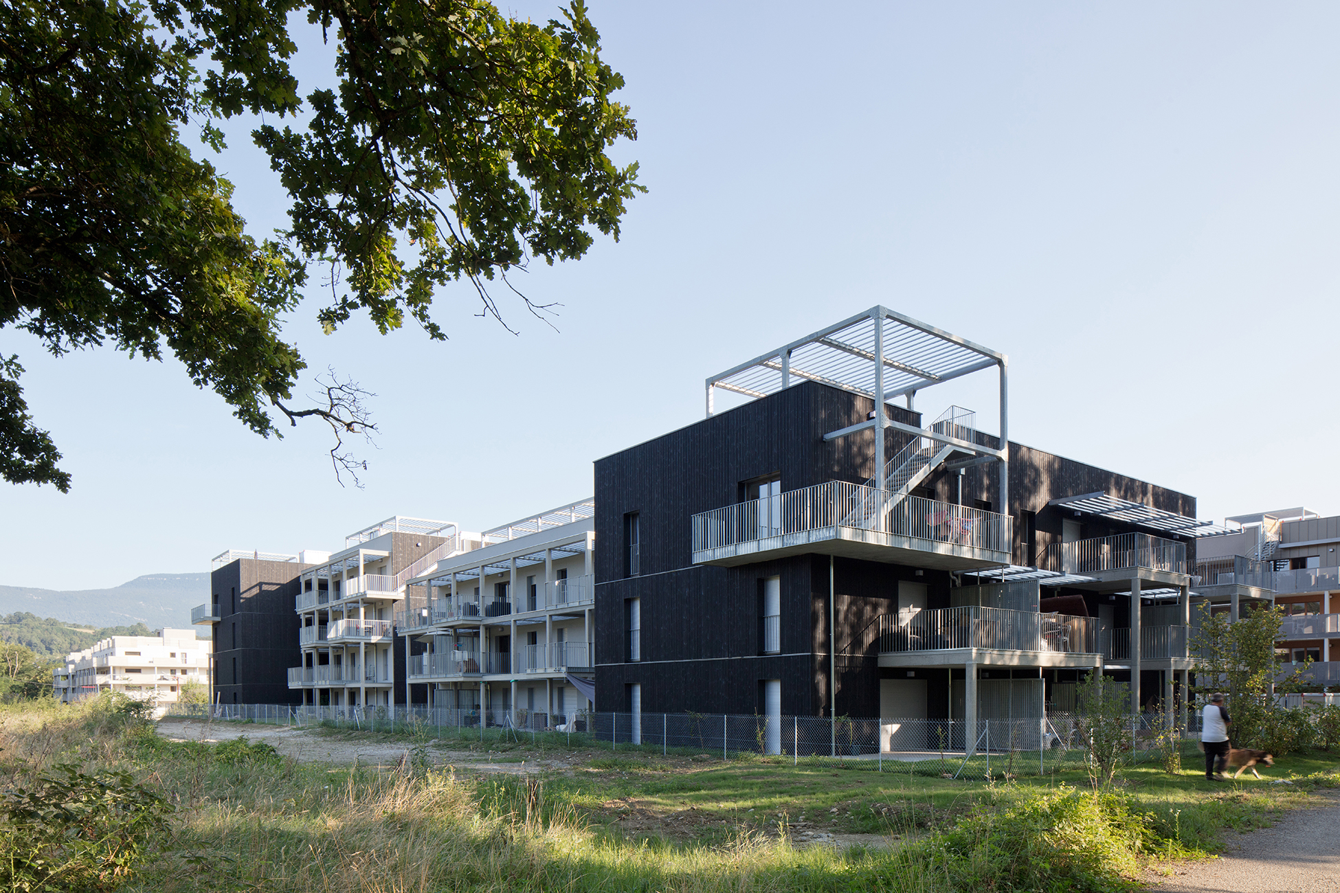 vue depuis bois projet cognin exndo architecture lyon