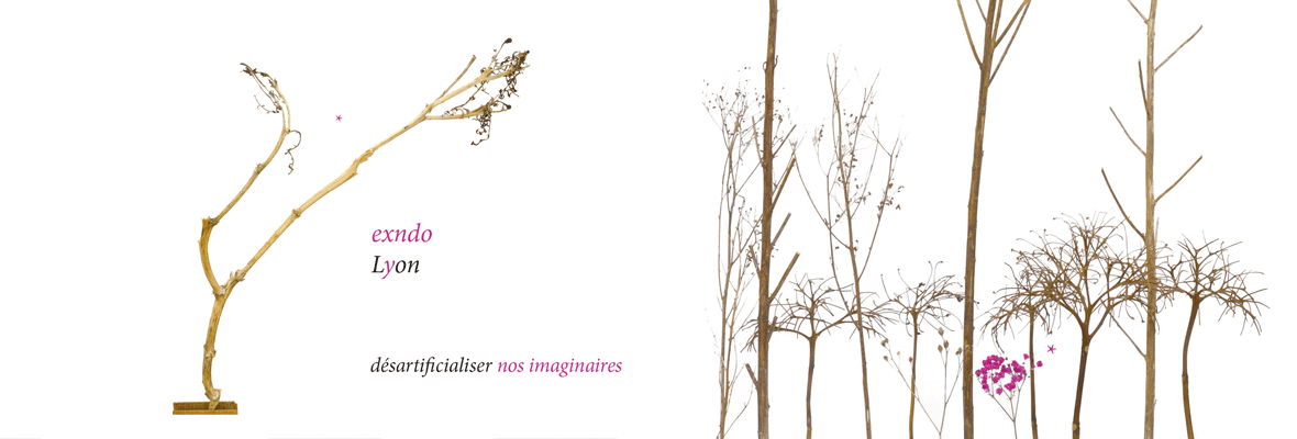 projet la fabric exndo architecture lyon